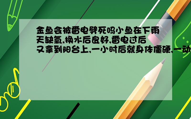 金鱼会被雷电劈死吗小鱼在下雨天缺氧,换水后良好,雷电过后又拿到阳台上,一小时后就身体僵硬,一动不动,腮、眼睛都不动,但身