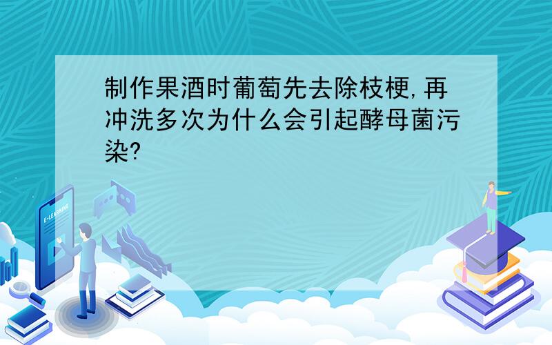 制作果酒时葡萄先去除枝梗,再冲洗多次为什么会引起酵母菌污染?