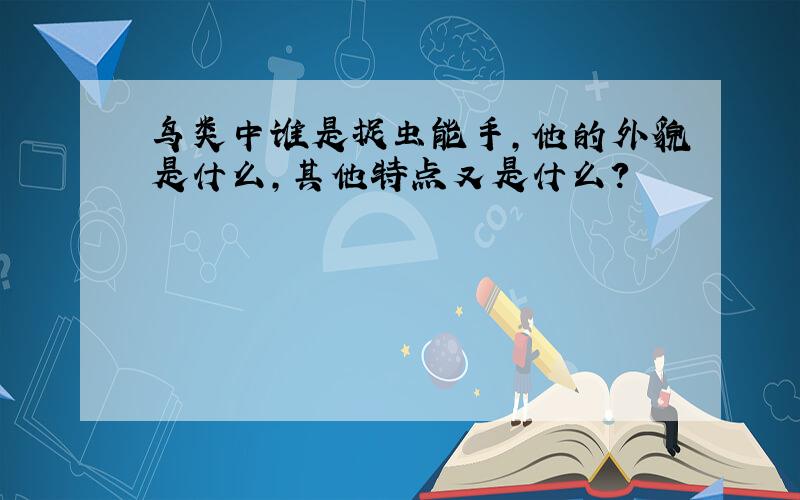 鸟类中谁是捉虫能手,他的外貌是什么,其他特点又是什么?