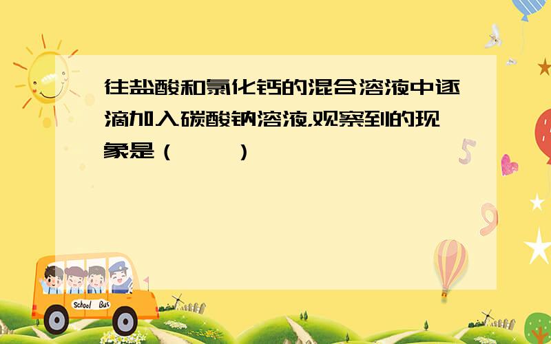 往盐酸和氯化钙的混合溶液中逐滴加入碳酸钠溶液，观察到的现象是（　　）