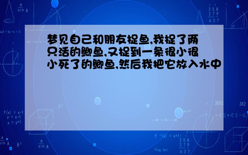 梦见自己和朋友捉鱼,我捉了两只活的鲫鱼,又捉到一条很小很小死了的鲫鱼,然后我把它放入水中