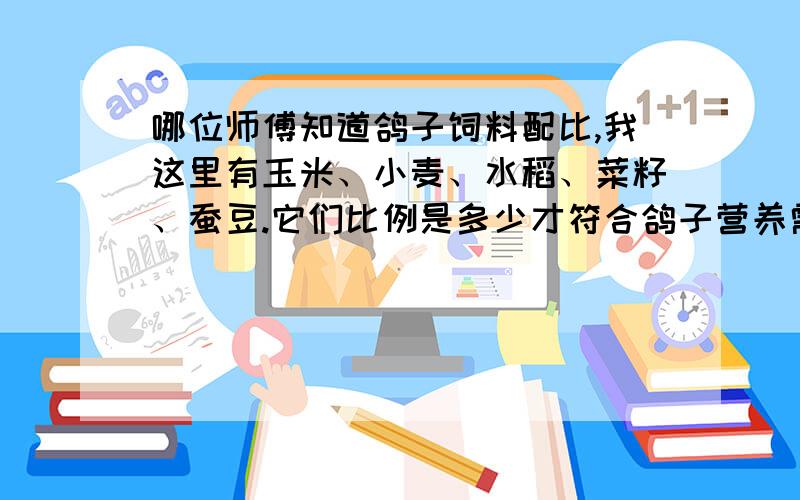 哪位师傅知道鸽子饲料配比,我这里有玉米、小麦、水稻、菜籽、蚕豆.它们比例是多少才符合鸽子营养需要.