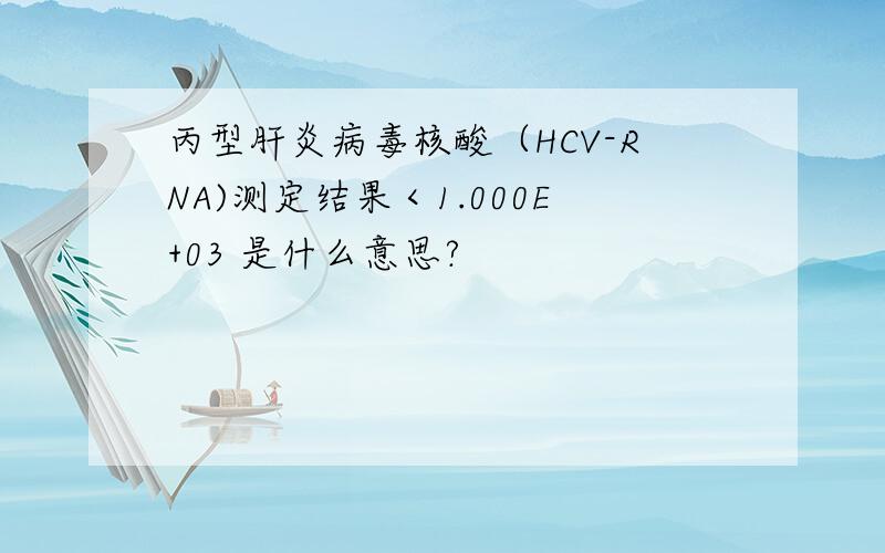 丙型肝炎病毒核酸（HCV-RNA)测定结果＜1.000E+03 是什么意思?