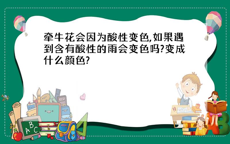 牵牛花会因为酸性变色,如果遇到含有酸性的雨会变色吗?变成什么颜色?