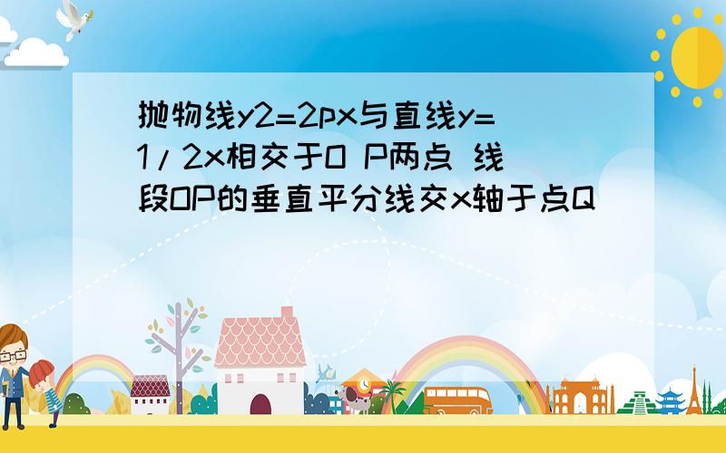 抛物线y2=2px与直线y=1/2x相交于O P两点 线段OP的垂直平分线交x轴于点Q