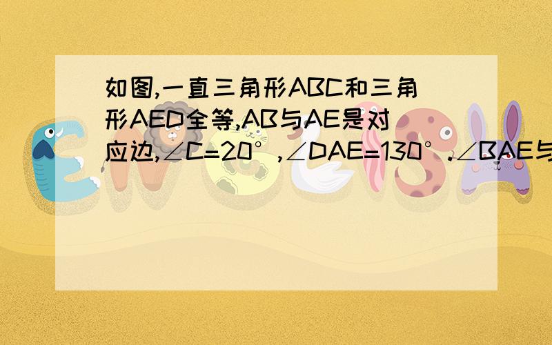 如图,一直三角形ABC和三角形AED全等,AB与AE是对应边,∠C=20°,∠DAE=130°.∠BAE与∠DAC相等吗