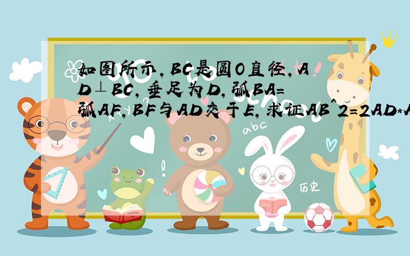 如图所示,BC是圆O直径,AD⊥BC,垂足为D,弧BA=弧AF,BF与AD交于E,求证AB^2=2AD*AE