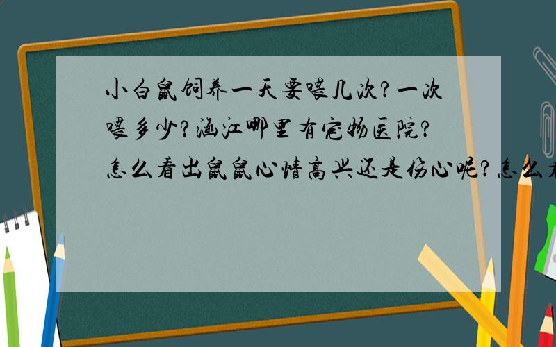 小白鼠饲养一天要喂几次?一次喂多少?涵江哪里有宠物医院?怎么看出鼠鼠心情高兴还是伤心呢?怎么看出鼠鼠健不健康呢?请先回答