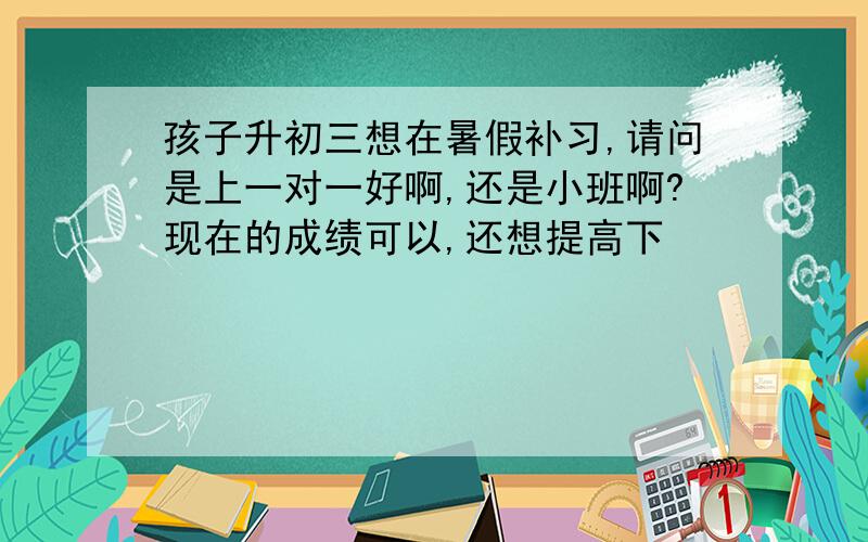 孩子升初三想在暑假补习,请问是上一对一好啊,还是小班啊?现在的成绩可以,还想提高下