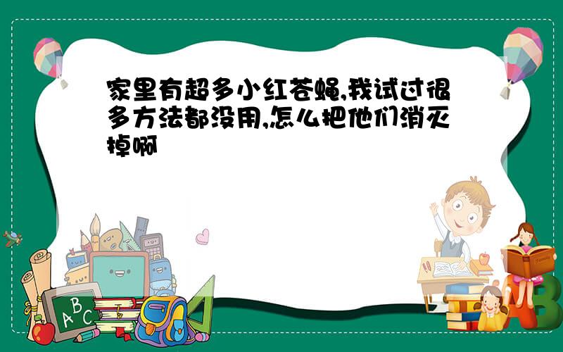 家里有超多小红苍蝇,我试过很多方法都没用,怎么把他们消灭掉啊