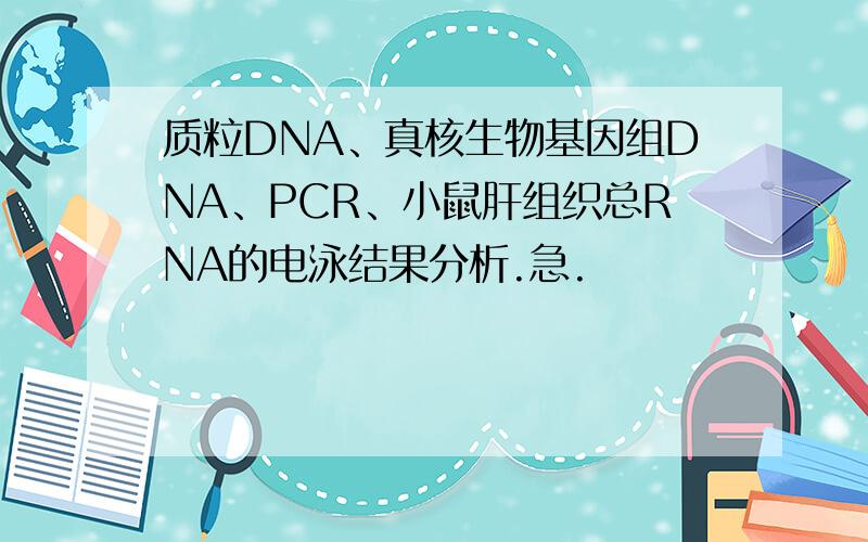 质粒DNA、真核生物基因组DNA、PCR、小鼠肝组织总RNA的电泳结果分析.急.