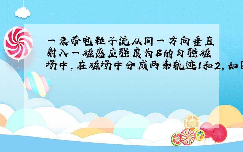 一束带电粒子流从同一方向垂直射入一磁感应强度为B的匀强磁场中,在磁场中分成两条轨迹1和2,如图所示.那么它们的速度v、动