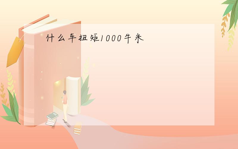 什么车扭矩1000牛米