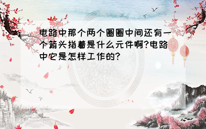 电路中那个两个圈圈中间还有一个箭头指着是什么元件啊?电路中它是怎样工作的?