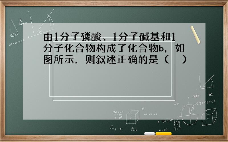 由1分子磷酸、1分子碱基和1分子化合物构成了化合物b，如图所示，则叙述正确的是（　　）