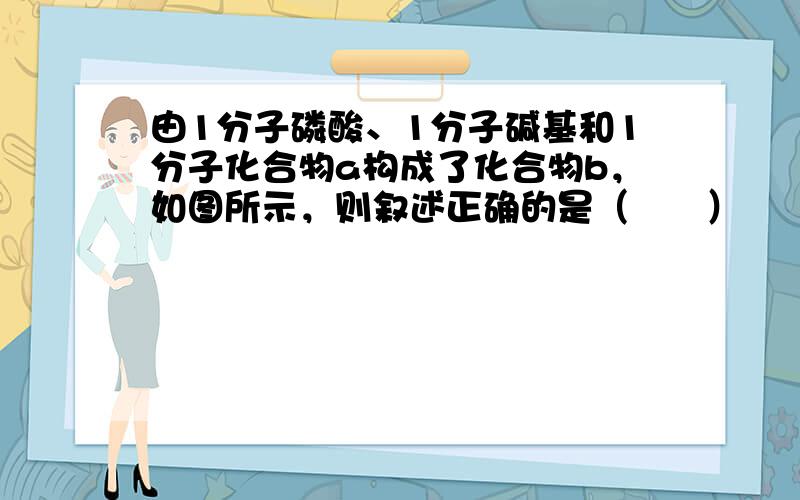 由1分子磷酸、1分子碱基和1分子化合物a构成了化合物b，如图所示，则叙述正确的是（　　）