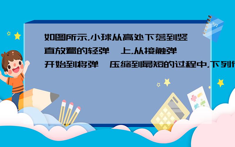 如图所示，小球从高处下落到竖直放置的轻弹簧上，从接触弹簧开始到将弹簧压缩到最短的过程中，下列传述正确的是（　　）