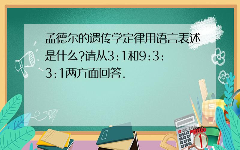 孟德尔的遗传学定律用语言表述是什么?请从3:1和9:3:3:1两方面回答.