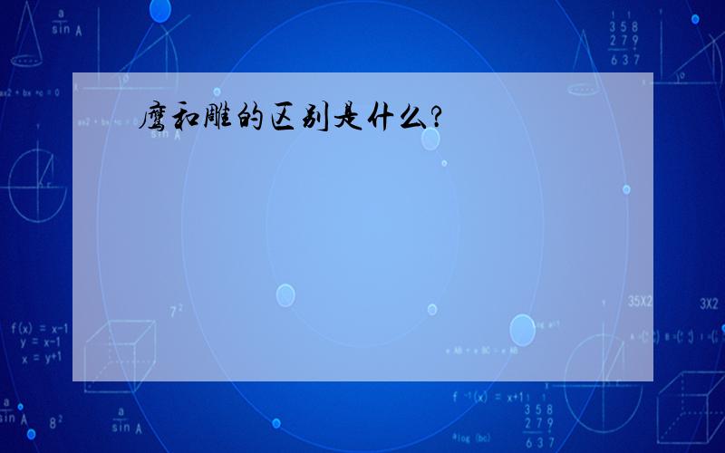 鹰和雕的区别是什么?