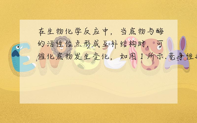 在生物化学反应中，当底物与酶的活性位点形成互补结构时，可催化底物发生变化，如图Ⅰ所示.竞争性抑制剂与底物竞争酶的活性位点