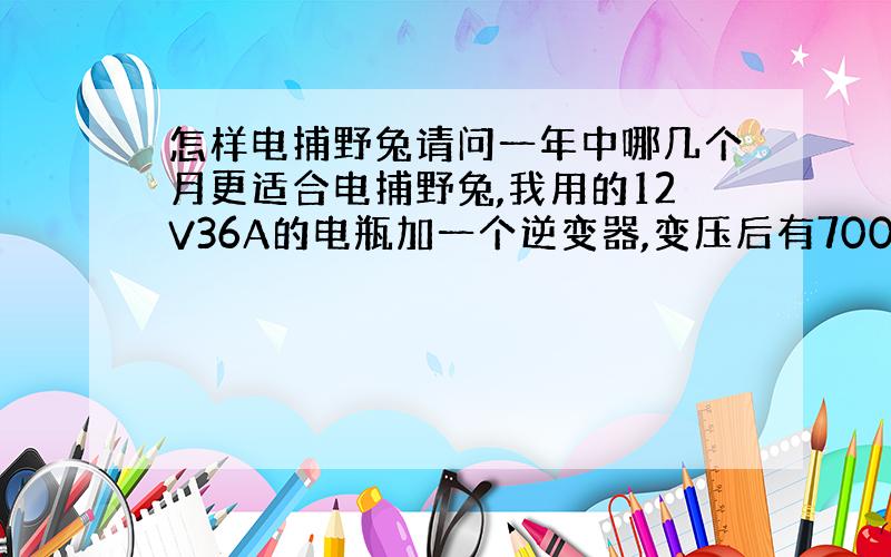 怎样电捕野兔请问一年中哪几个月更适合电捕野兔,我用的12V36A的电瓶加一个逆变器,变压后有7000多V,可以不?铁丝与