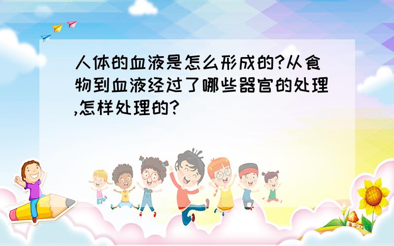 人体的血液是怎么形成的?从食物到血液经过了哪些器官的处理,怎样处理的?