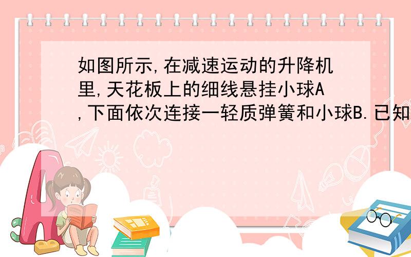 如图所示,在减速运动的升降机里,天花板上的细线悬挂小球A,下面依次连接一轻质弹簧和小球B.已知A和B的质量都是5千克,弹