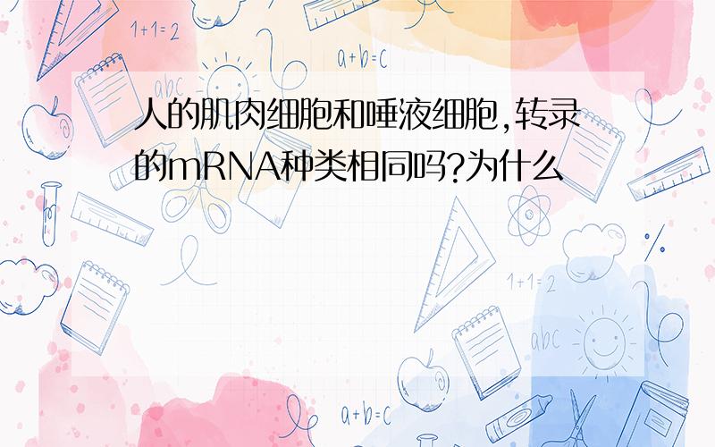 人的肌肉细胞和唾液细胞,转录的mRNA种类相同吗?为什么