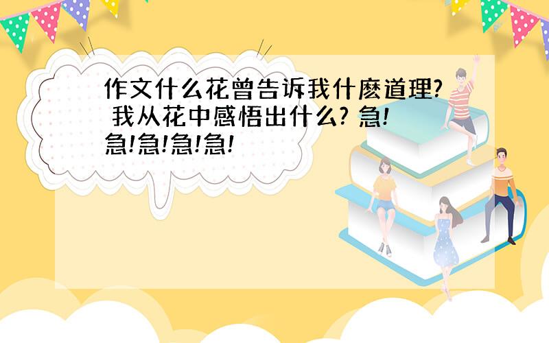 作文什么花曾告诉我什麽道理? 我从花中感悟出什么? 急!急!急!急!急!