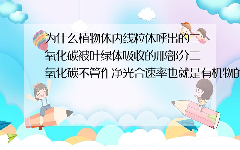 为什么植物体内线粒体呼出的二氧化碳被叶绿体吸收的那部分二氧化碳不算作净光合速率也就是有机物的积累量呢?