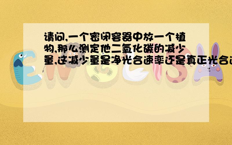 请问,一个密闭容器中放一个植物,那么测定他二氧化碳的减少量,这减少量是净光合速率还是真正光合速率?(个人觉得里面考虑了呼