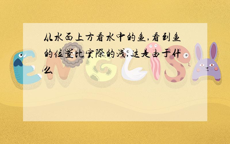 从水面上方看水中的鱼,看到鱼的位置比实际的浅,这是由于什么