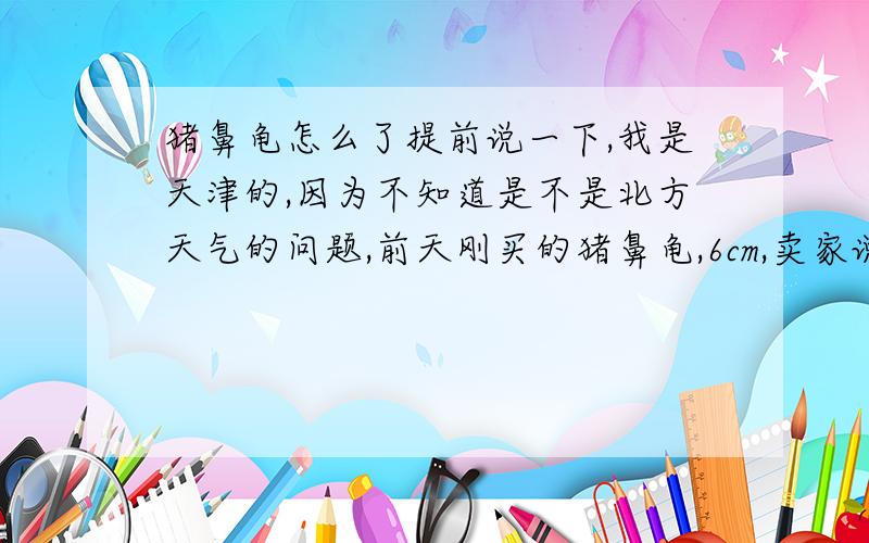 猪鼻龟怎么了提前说一下,我是天津的,因为不知道是不是北方天气的问题,前天刚买的猪鼻龟,6cm,卖家说已经开食,在卖家那挑