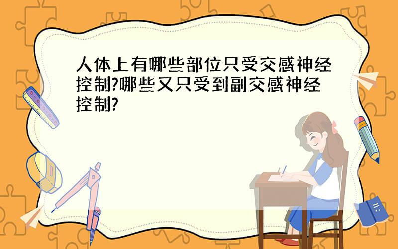 人体上有哪些部位只受交感神经控制?哪些又只受到副交感神经控制?