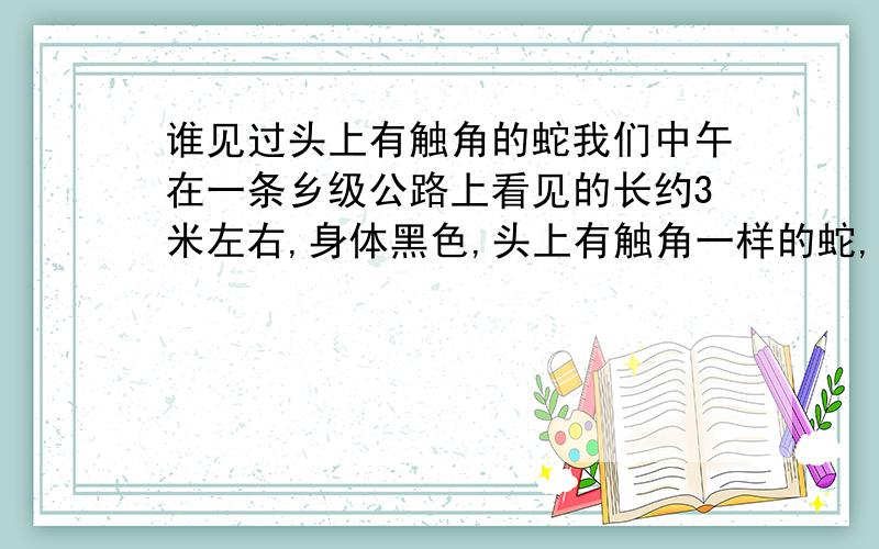 谁见过头上有触角的蛇我们中午在一条乡级公路上看见的长约3米左右,身体黑色,头上有触角一样的蛇,我很想知道这是什么东西?我