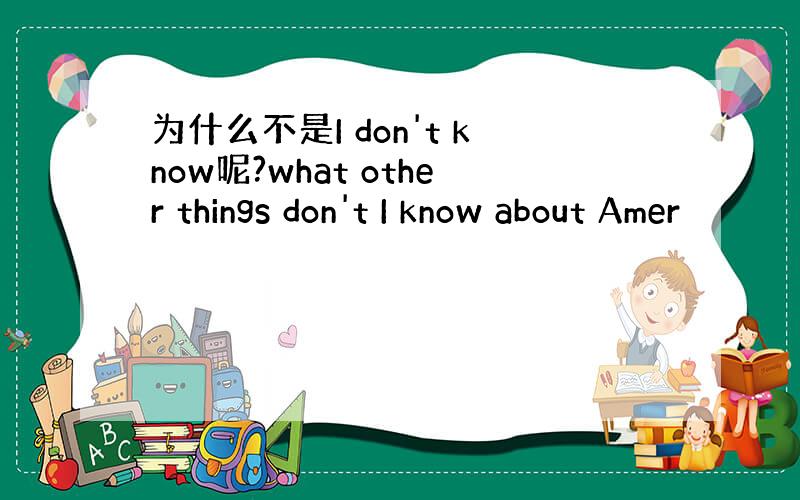 为什么不是I don't know呢?what other things don't I know about Amer