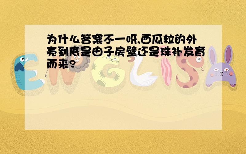 为什么答案不一呀,西瓜粒的外壳到底是由子房壁还是珠补发育而来?