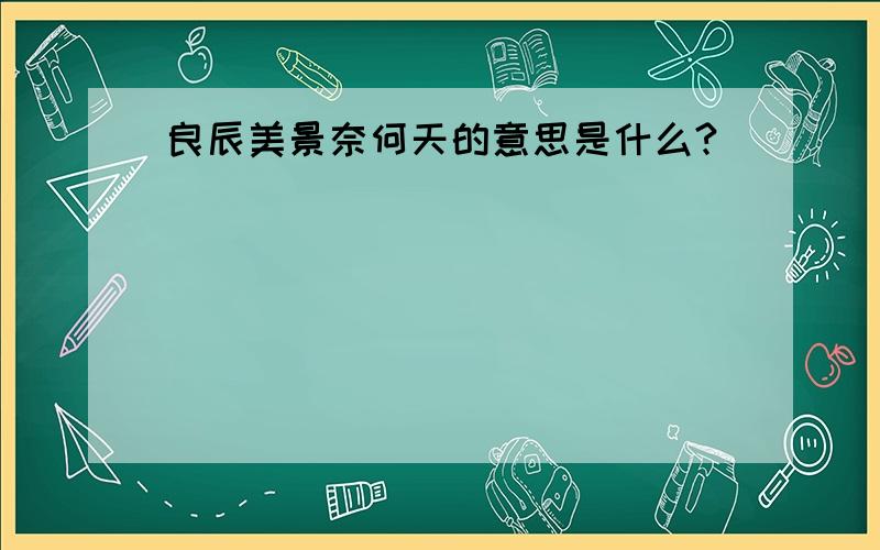 良辰美景奈何天的意思是什么?