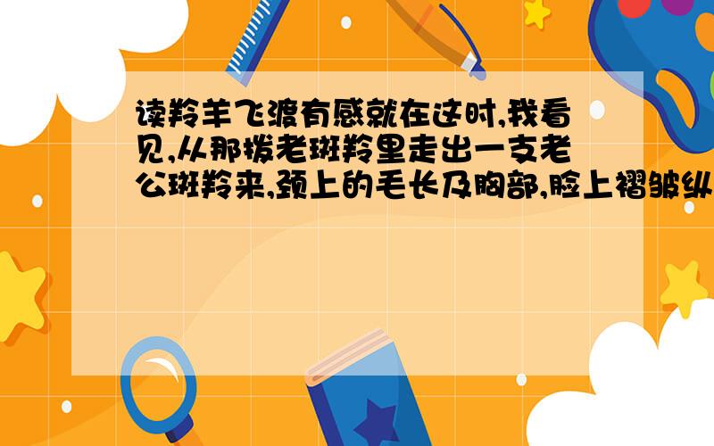 读羚羊飞渡有感就在这时,我看见,从那拨老斑羚里走出一支老公斑羚来,颈上的毛长及胸部,脸上褶皱纵横,两支羊角早已被岁月风尘