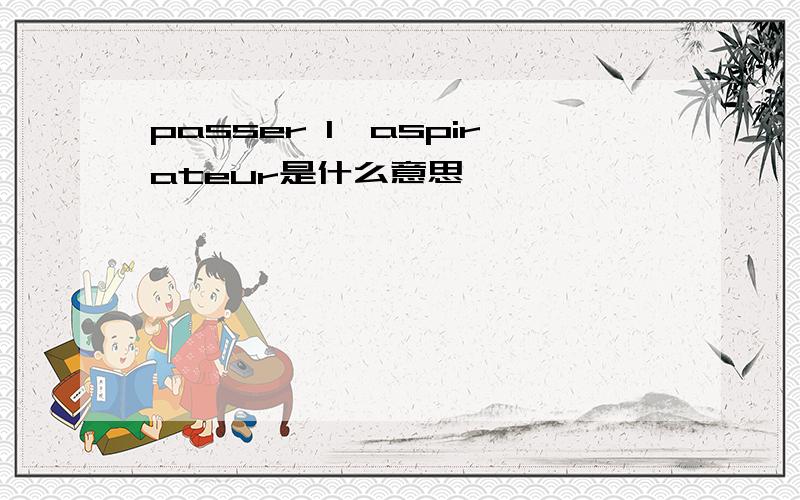 passer l'aspirateur是什么意思