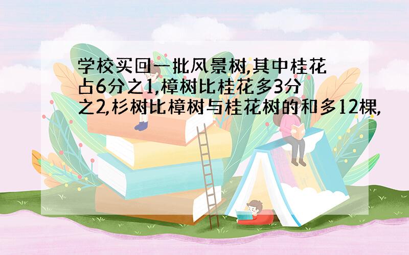 学校买回一批风景树,其中桂花占6分之1,樟树比桂花多3分之2,杉树比樟树与桂花树的和多12棵,