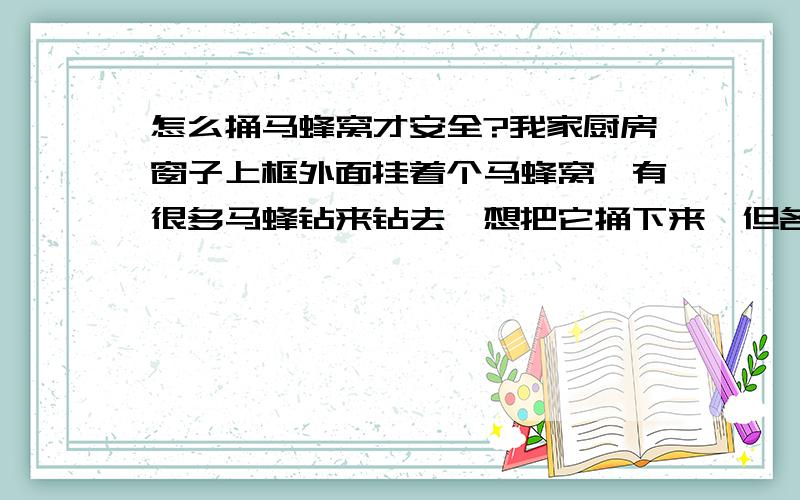 怎么捅马蜂窝才安全?我家厨房窗子上框外面挂着个马蜂窝,有很多马蜂钻来钻去,想把它捅下来,但各位都知道后果会是怎样的.所以