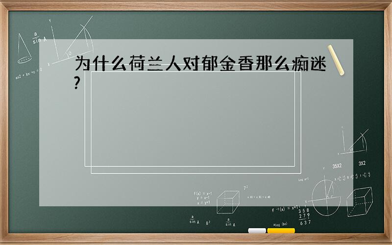 为什么荷兰人对郁金香那么痴迷?