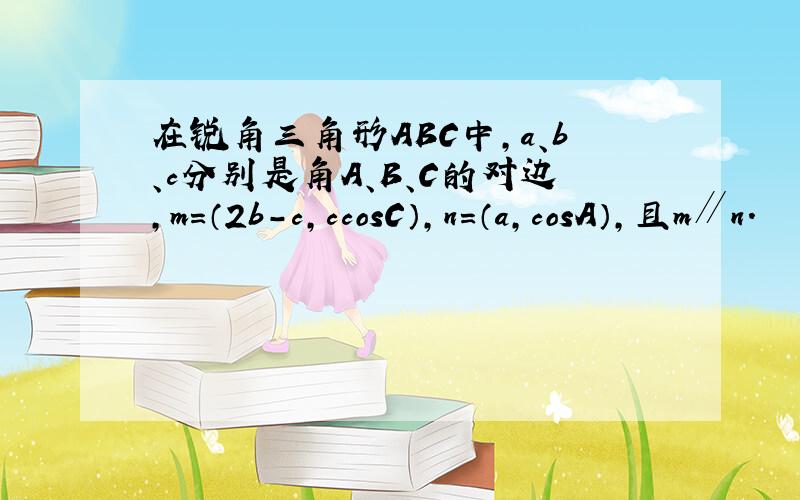 在锐角三角形ABC中，a、b、c分别是角A、B、C的对边，m=（2b-c，ccosC），n=（a，cosA），且m∥n．