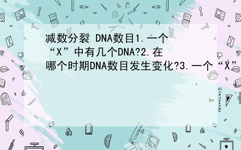 减数分裂 DNA数目1.一个“X”中有几个DNA?2.在哪个时期DNA数目发生变化?3.一个“X”分离,则此时DNA怎么