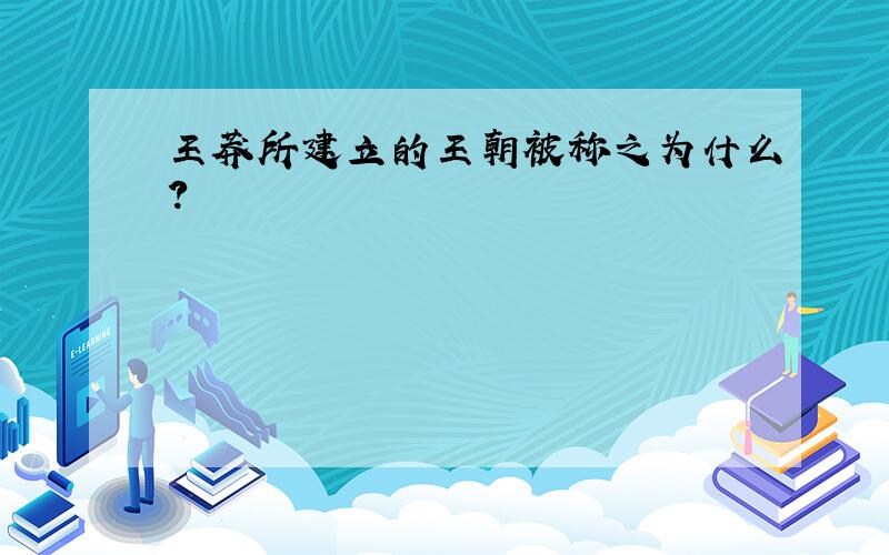 王莽所建立的王朝被称之为什么?