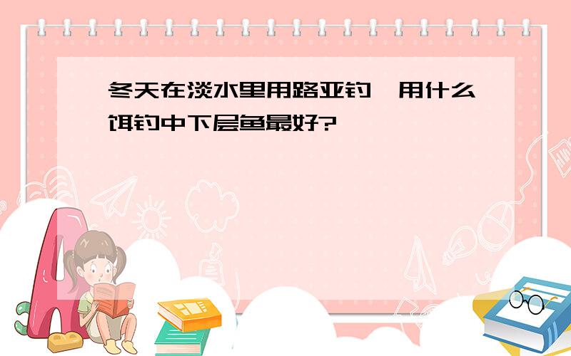 冬天在淡水里用路亚钓,用什么饵钓中下层鱼最好?