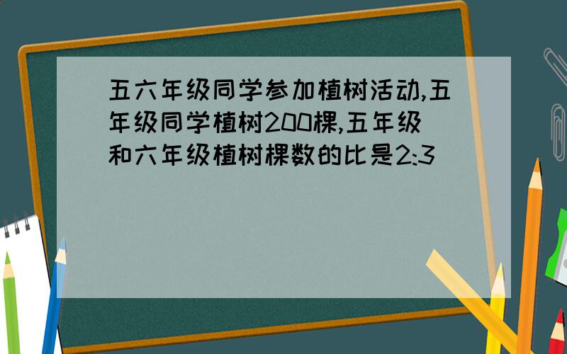 五六年级同学参加植树活动,五年级同学植树200棵,五年级和六年级植树棵数的比是2:3