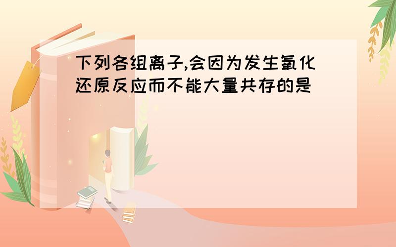 下列各组离子,会因为发生氧化还原反应而不能大量共存的是