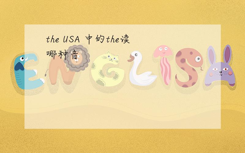 the USA 中的the读哪种音